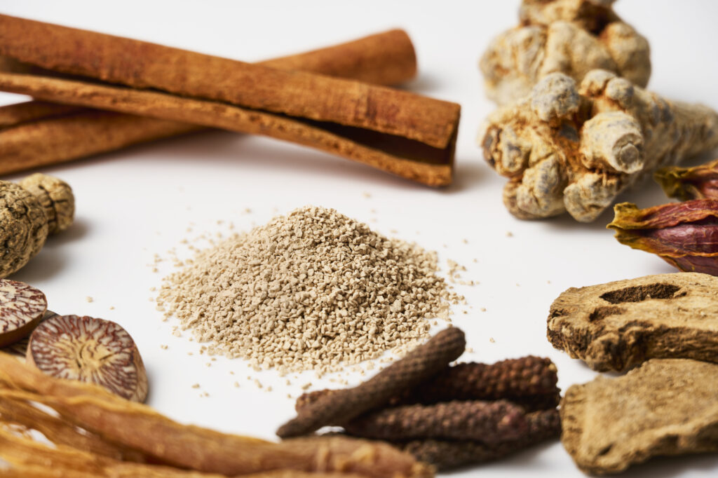 漢方薬に使われる生薬と、飲みやすく加工された漢方顆粒製剤を並べて紹介するイメージ｜漢方薬の原料と現代的な服用形態の違いを説明